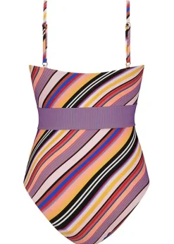 Cyell Juicy Stripe Swimsuit